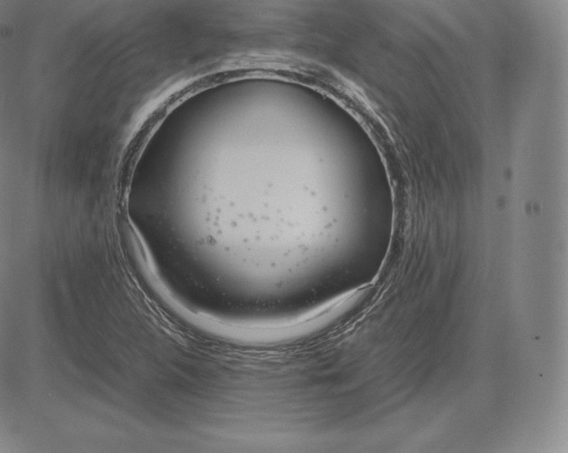 X0000083621312200703051559