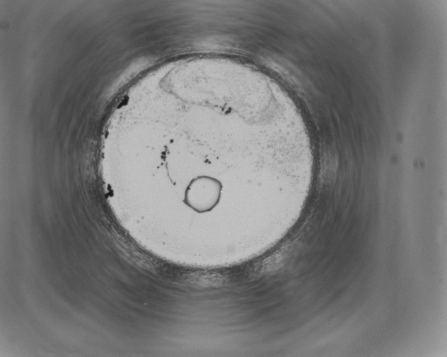 X0000083621314200703051559