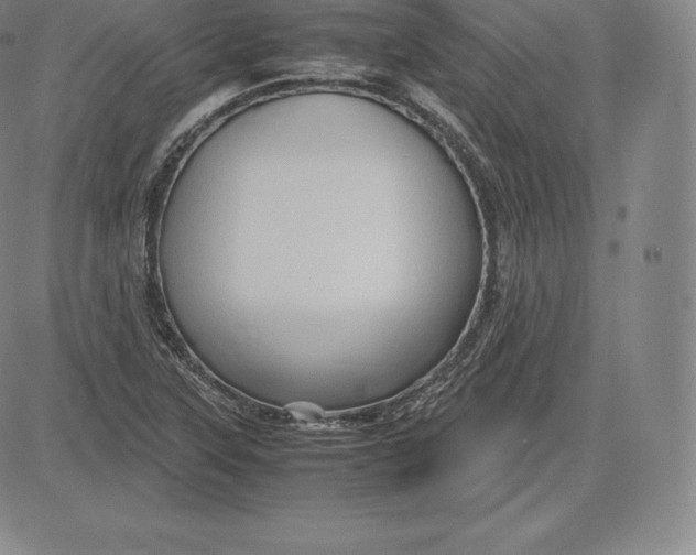 X0000083621315200703051559