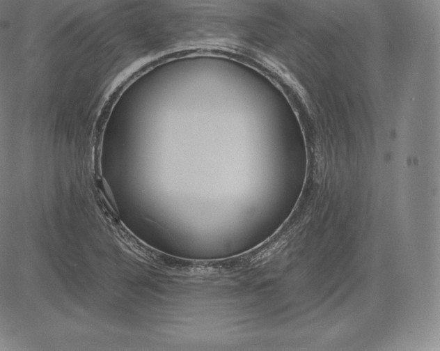 X0000083621316200703051559