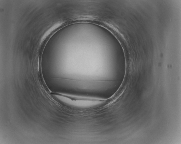 X0000083621317200703051559