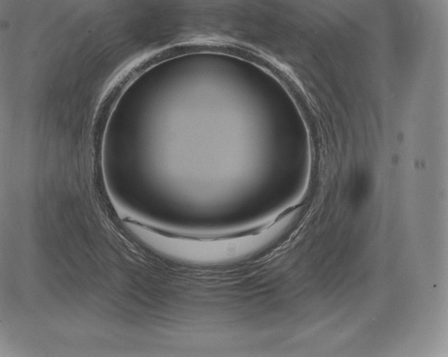 X0000083621319200703051559