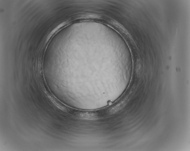 X0000083621321200703051559