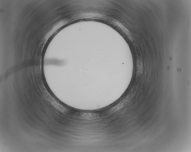 X0000083621322200703051559