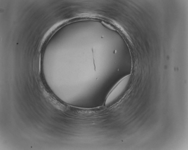 X0000083621323200703051559