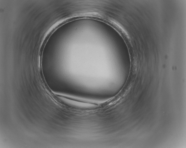 X0000083621324200703051559