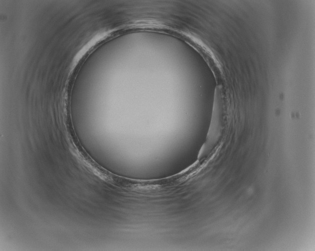 X0000083621325200703051559