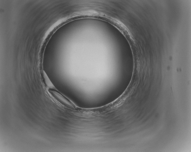 X0000083621326200703051559