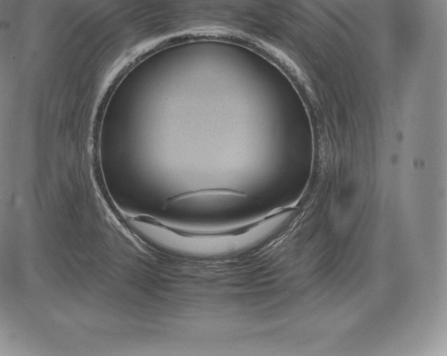 X0000083621327200703051559