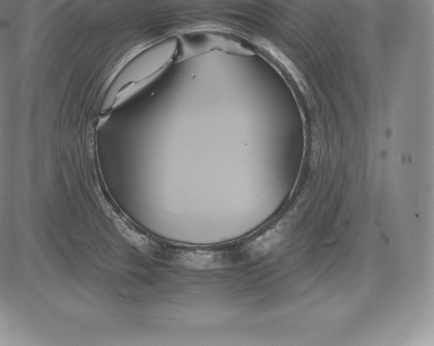 X0000083621329200703051559