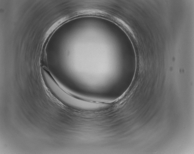 X0000083621330200703051559