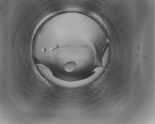 X0000083621331200703051559