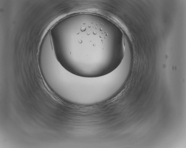 X0000083621332200703051559