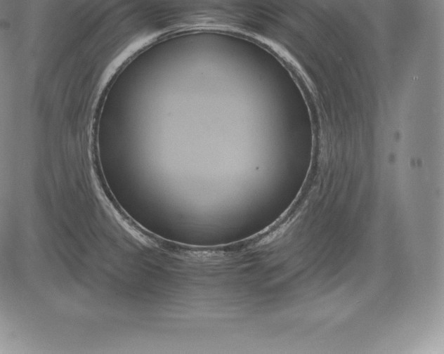 X0000083621333200703051559