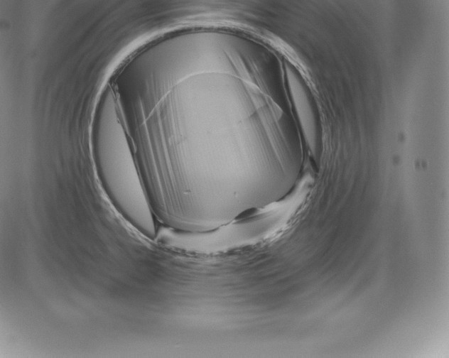 X0000083621334200703051559