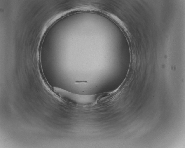 X0000083621335200703051559