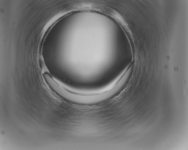 X0000083621336200703051559