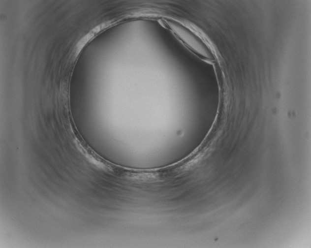 X0000083621337200703051559