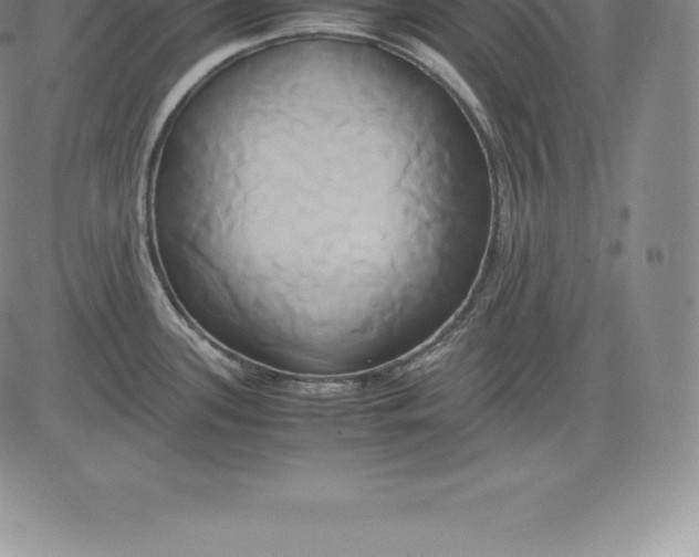 X0000083621339200703051559