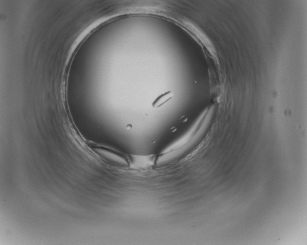 X0000083621340200703051559