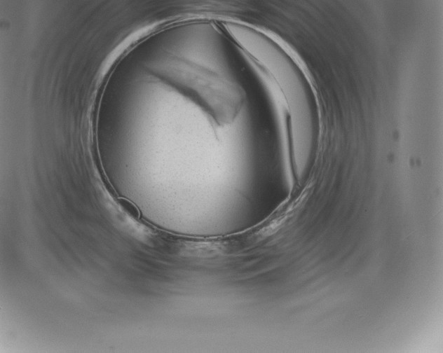 X0000083621341200703051559