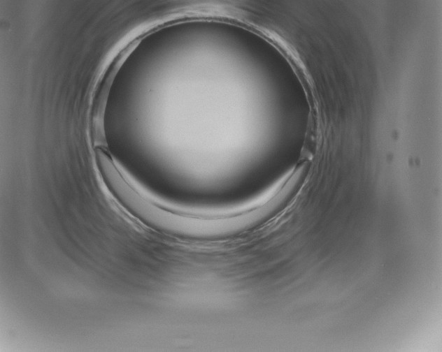 X0000083621342200703051559