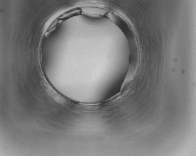 X0000083621344200703051559