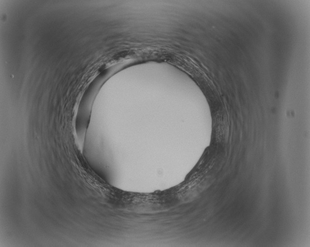 X0000083621345200703051558