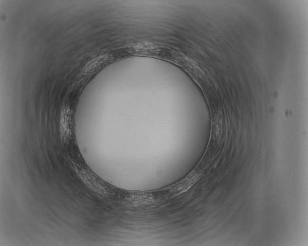 X0000083621346200703051558