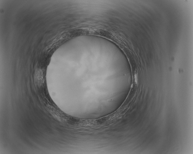 X0000083621347200703051558