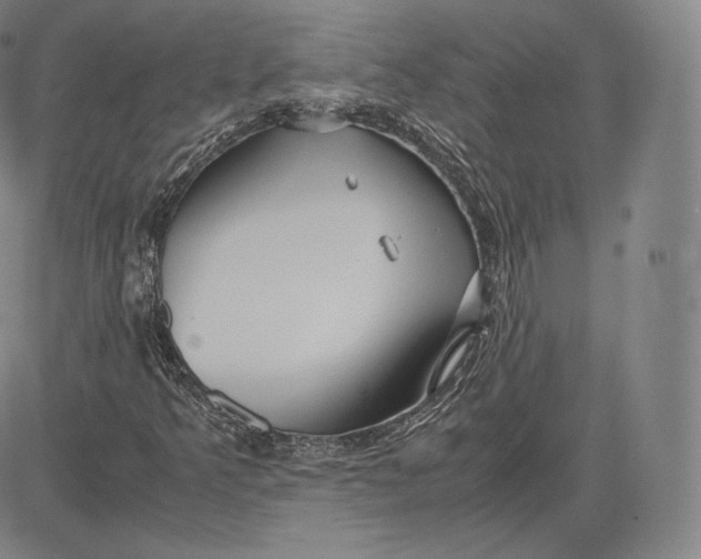 X0000083621349200703051558