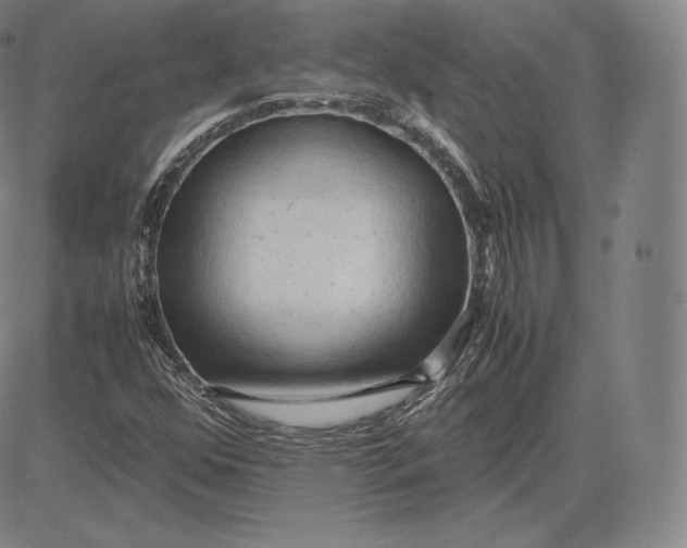 X0000083621352200703051558