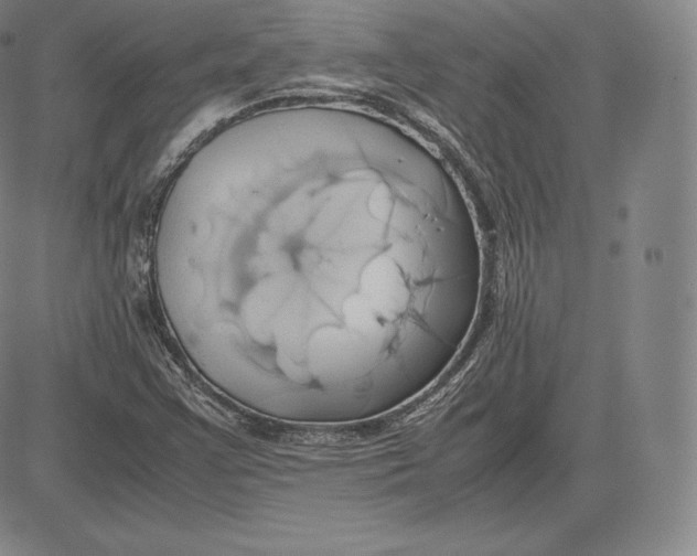 X0000083621355200703051558