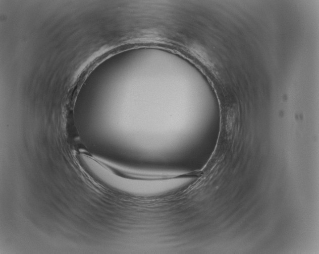 X0000083621356200703051558