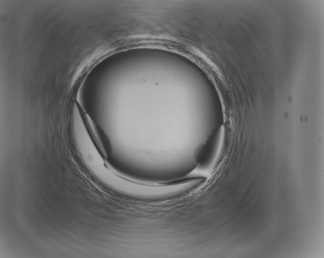 X0000083621357200703051558