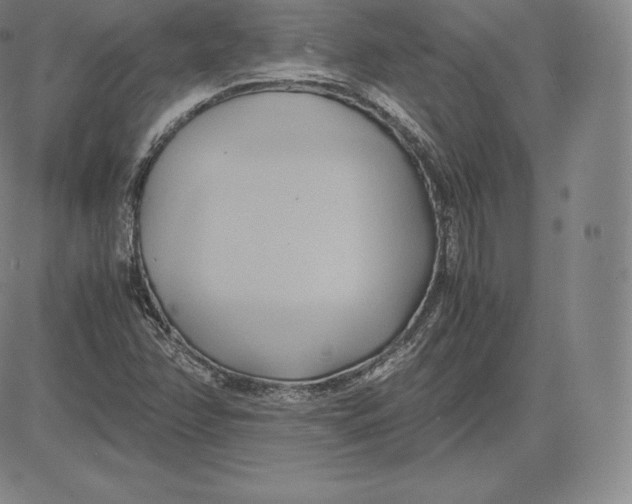 X0000083621358200703051558