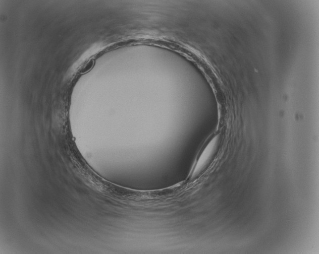 X0000083621359200703051558