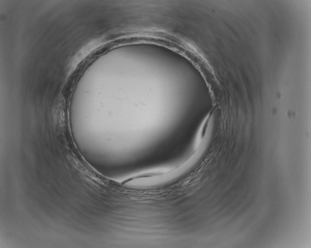 X0000083621360200703051558