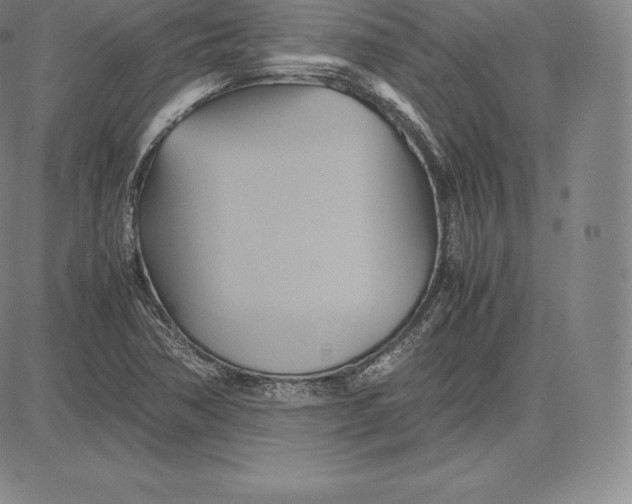 X0000083621362200703051558