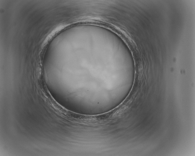 X0000083621363200703051558