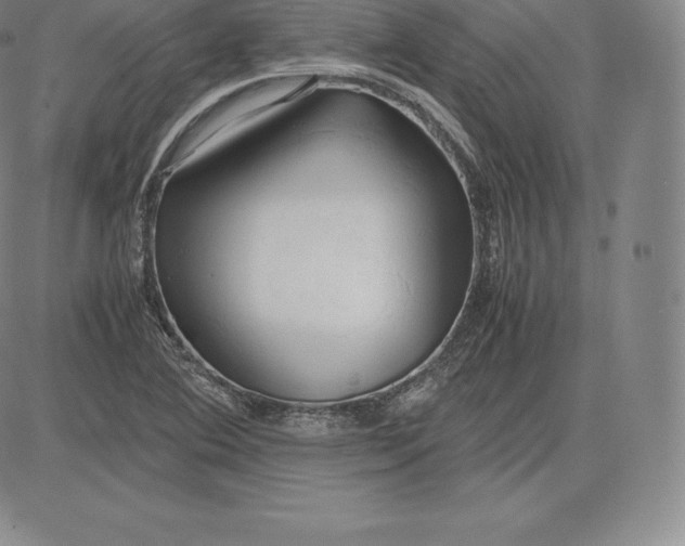 X0000083621364200703051558