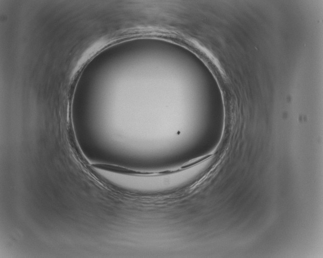 X0000083621365200703051558