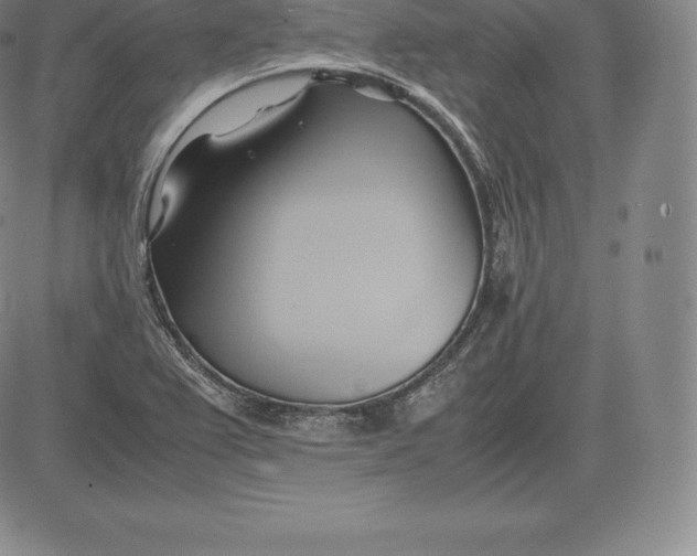 X0000083621367200703051558