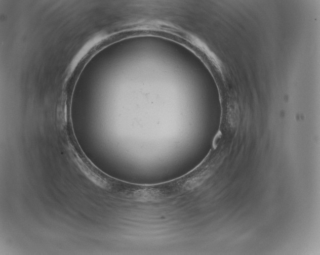 X0000083621368200703051558