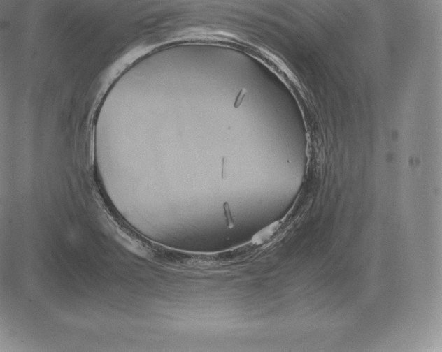 X0000083621371200703051558