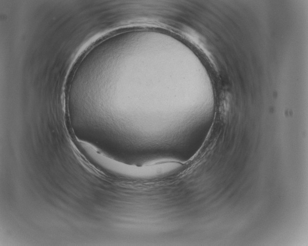 X0000083621372200703051558