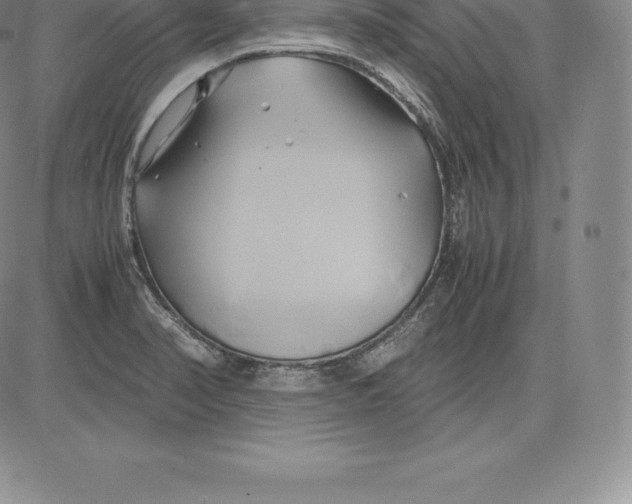 X0000083621374200703051558