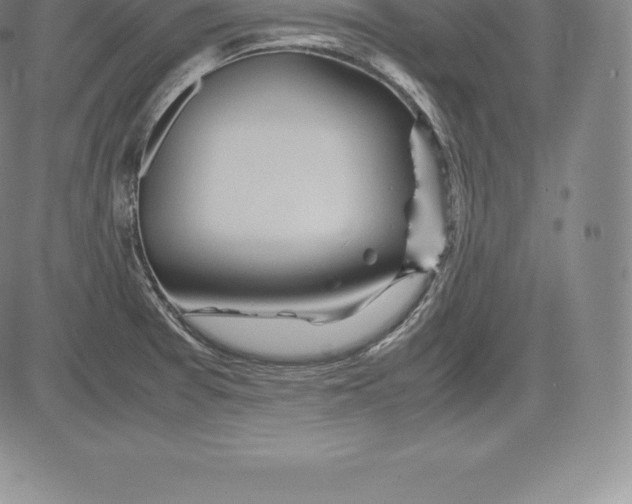 X0000083621377200703051558