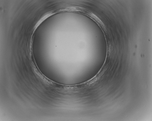 X0000083621378200703051558