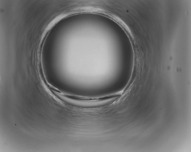 X0000083621381200703051558